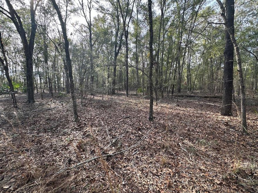 Two buildable lots for sale in Bell, Florida's Caroline's Country Subdivision. The lots make up 3.64 acres in total, with Lot 15 being 1.88 acres and Lot 16 being 1.76 acres. With some clearing, these lots are ready to host a site-built or manufactured home. HALF A MILE FROM THE LOG LANDING PUBLIC BOAT RAMP! Perfect location for river-goers, campers, kayakers, and other outdoor enthusiasts! HIGH AND DRY, yet close to the Suwannee River! Close to several natural springs for diving, floating, and swimming! Come build or place your dream home here! No HOA and no deed restrictions! Less than 6 miles from the Town of Bell! Located in Gilchrist County with low property taxes and "A" rated schools! Call today for more information!