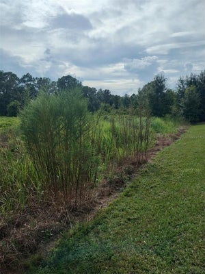 2900 W SHULA RD, AVON PARK, FL 33825 - Image 3129d2be82e1ce05365a0a31b2f4b812/222076445