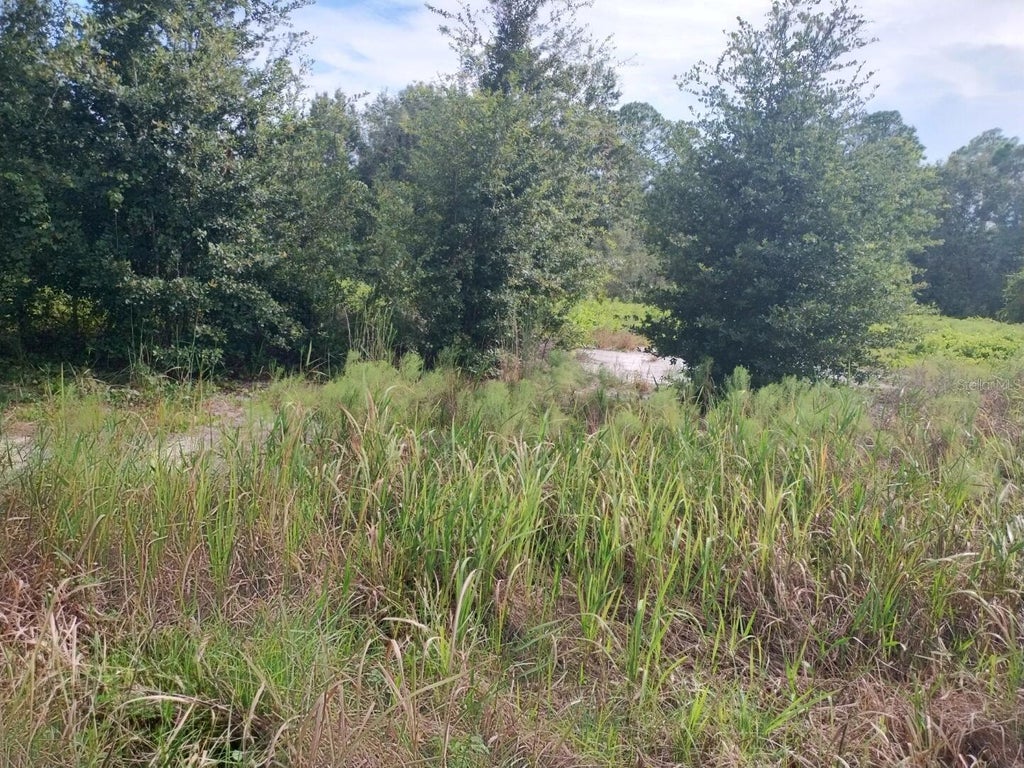 Photo of 2900 W Shula Road, Avon Park, FL 33825 (MLS # O6450458)