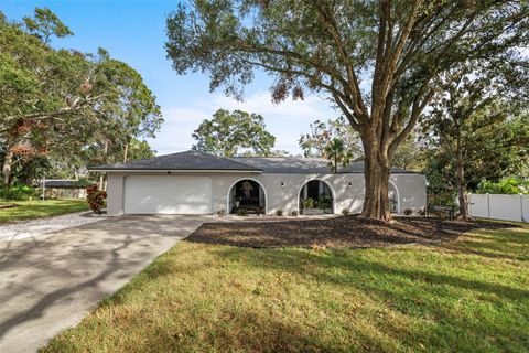 A home in PALM HARBOR