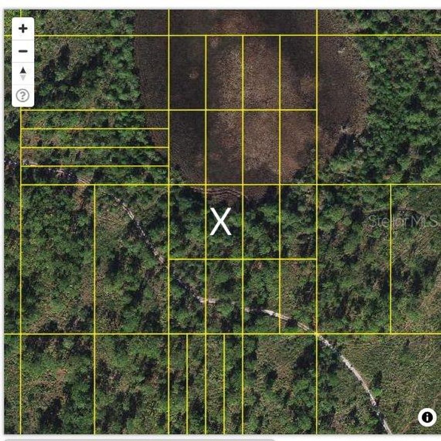 Investment Opportunity in Frostproof, FL! This .32 lot is a fantastic long-term investment in a tranquil area. While currently without direct access, this parcel offers excellent potential for future development or appreciation as Frostproof grows. Perfect for savvy investors looking to secure a foothold in a promising location. Don’t miss this chance to own a piece of land with future possibilities!