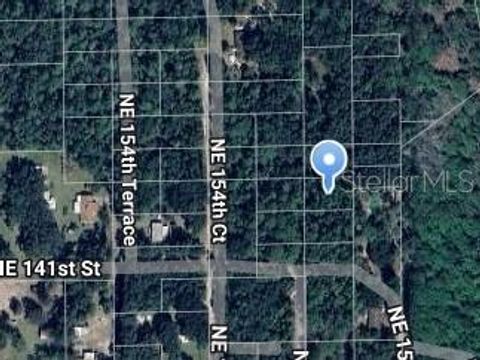 NE 153RD COURT FORT MC COY FL 32134