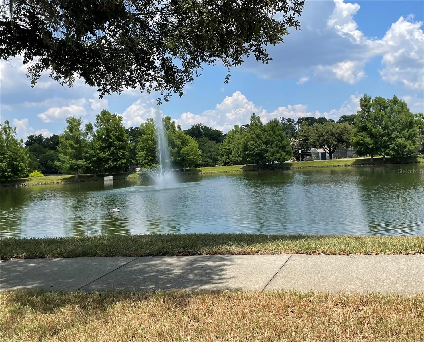 PARKSTONE UNIT 4 - Residential Lease