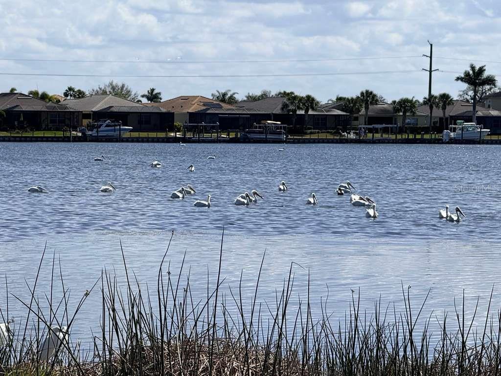 TIDEWATER PRESERVE PH I - Residential