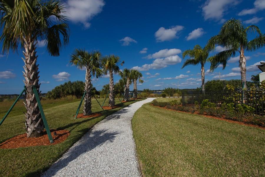 TIDEWATER PRESERVE PH I - Residential