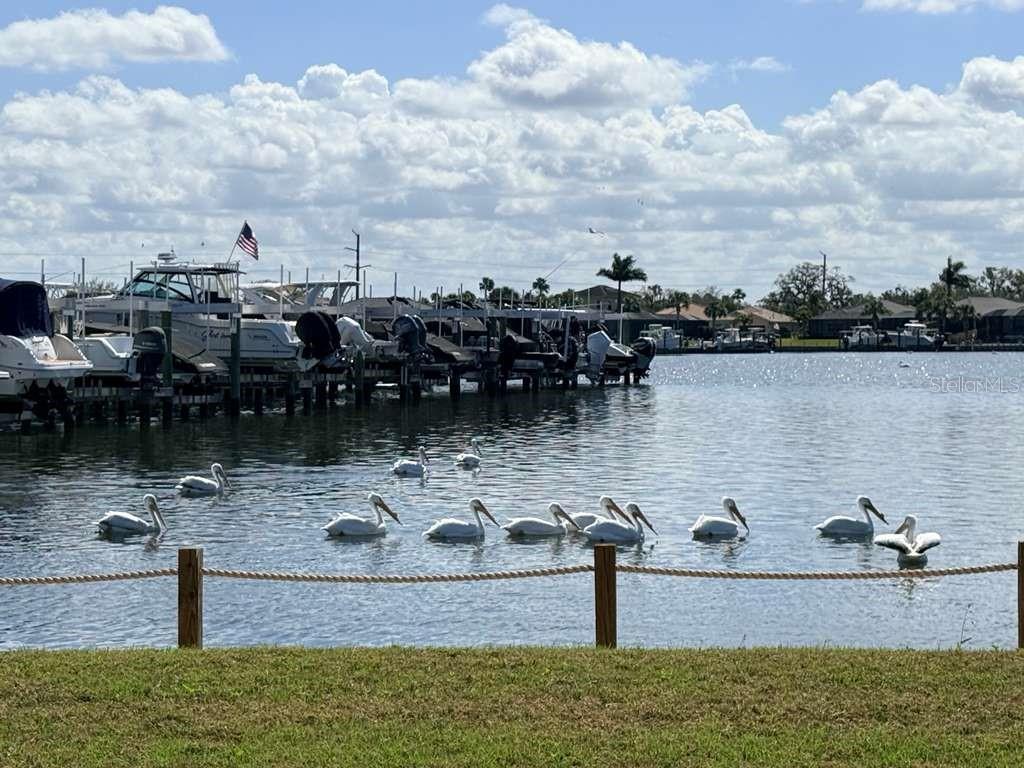 TIDEWATER PRESERVE PH I - Residential