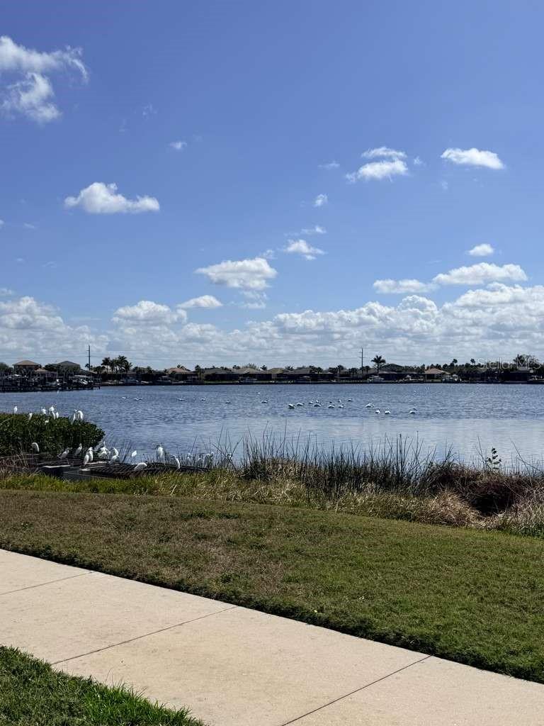 TIDEWATER PRESERVE PH I - Residential