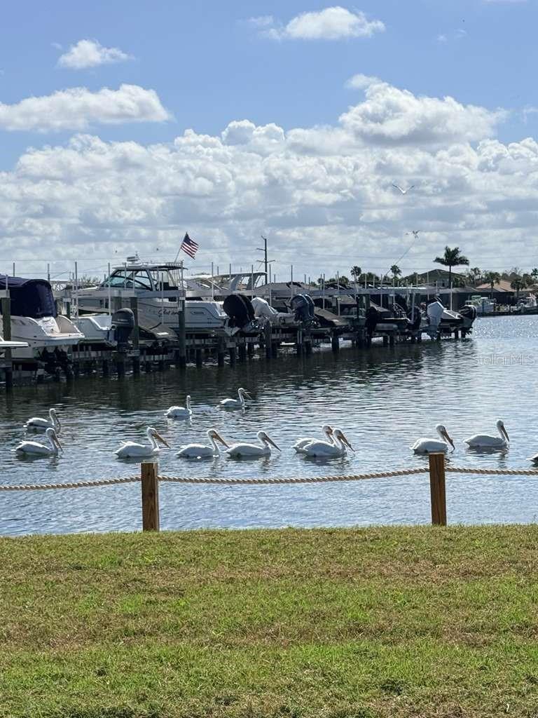 TIDEWATER PRESERVE PH I - Residential