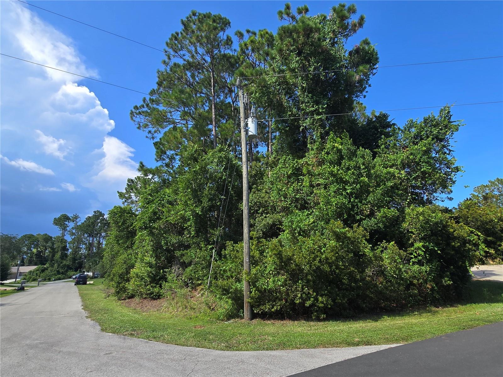Oversized Corner Lot in Desirable Pine Lakes Neighborhood! - Welcome to one of the largest available lots in the well-established Pine Lakes community! This oversized corner lot spans over 13,000 sq ft and offers an impressive 156 feet of road frontage, making it the perfect location to build your custom dream home. Nestled in a quiet, mature neighborhood known for its beautiful homes and convenient location, you'll enjoy close proximity to schools, shopping, golf, parks, and Flagler Beach. With plenty of space for a spacious home, pool, and more, this property provides endless possibilities for your future plans. Don’t miss this rare opportunity to own a prime piece of land in one of Palm Coast’s most sought-after areas!