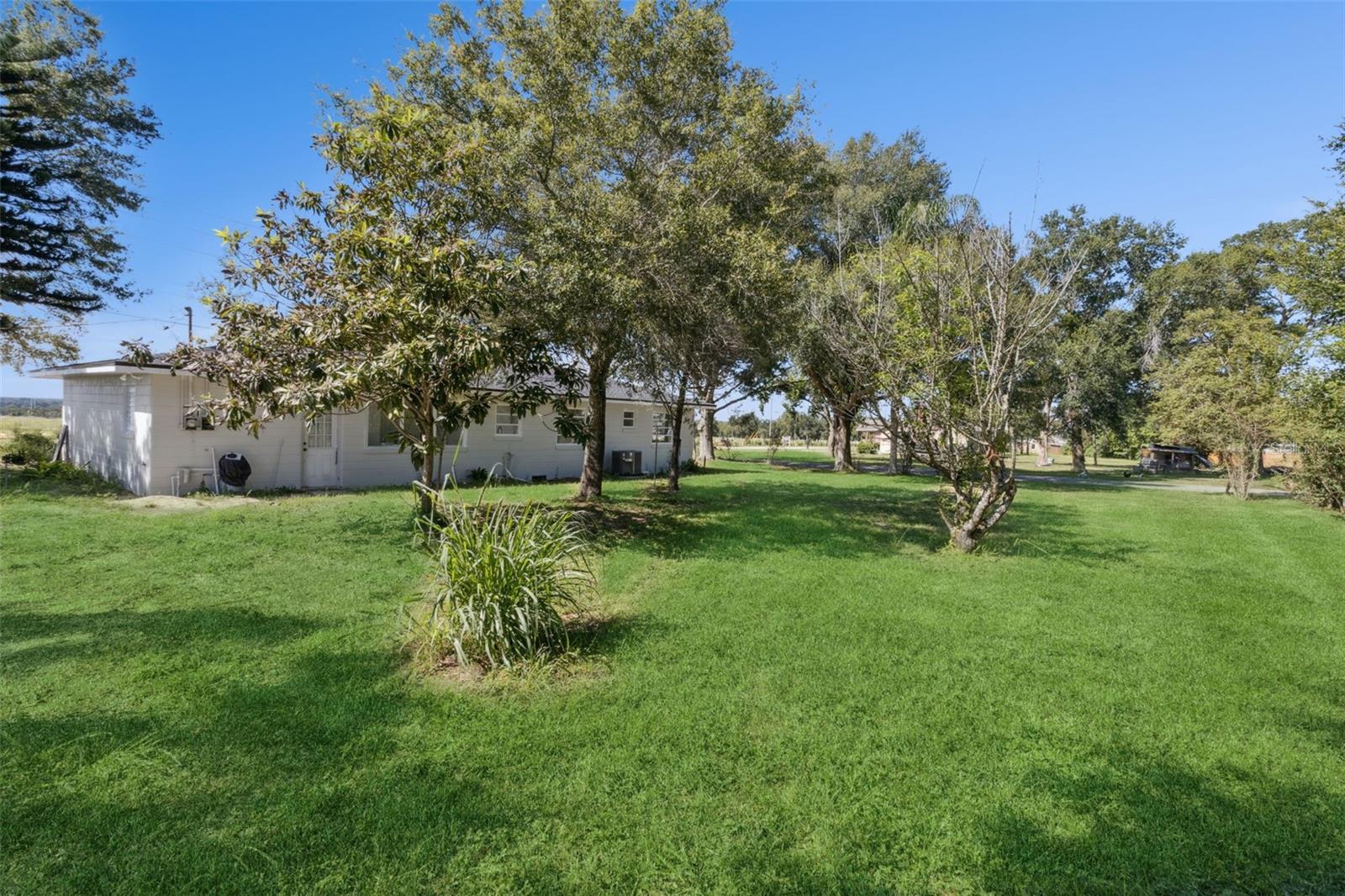 DUNDEE - Residential