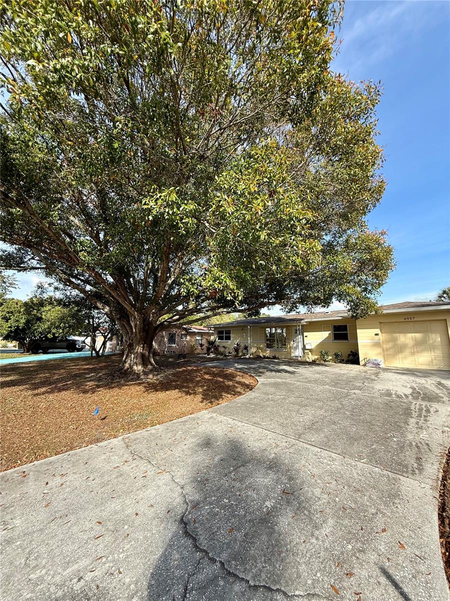 MEADOW LAWN 10TH ADD - Residential Lease