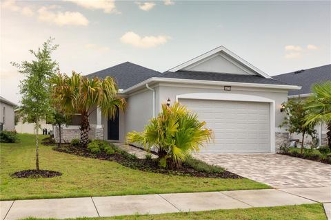 A home in MOUNT DORA