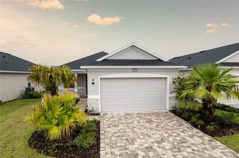 A home in MOUNT DORA