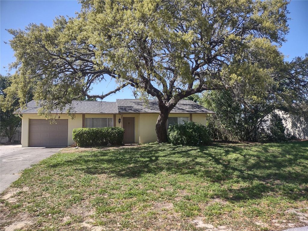 Photo of 11117 Upton Street, Spring Hill, FL 34608 (MLS # TB8466427)