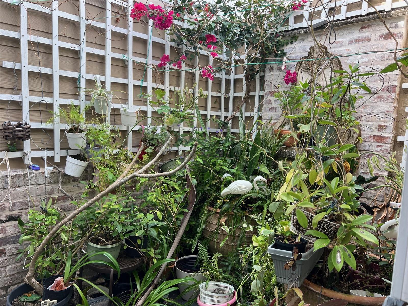 ORANGE TREE VILLAS CONDO - Residential Lease