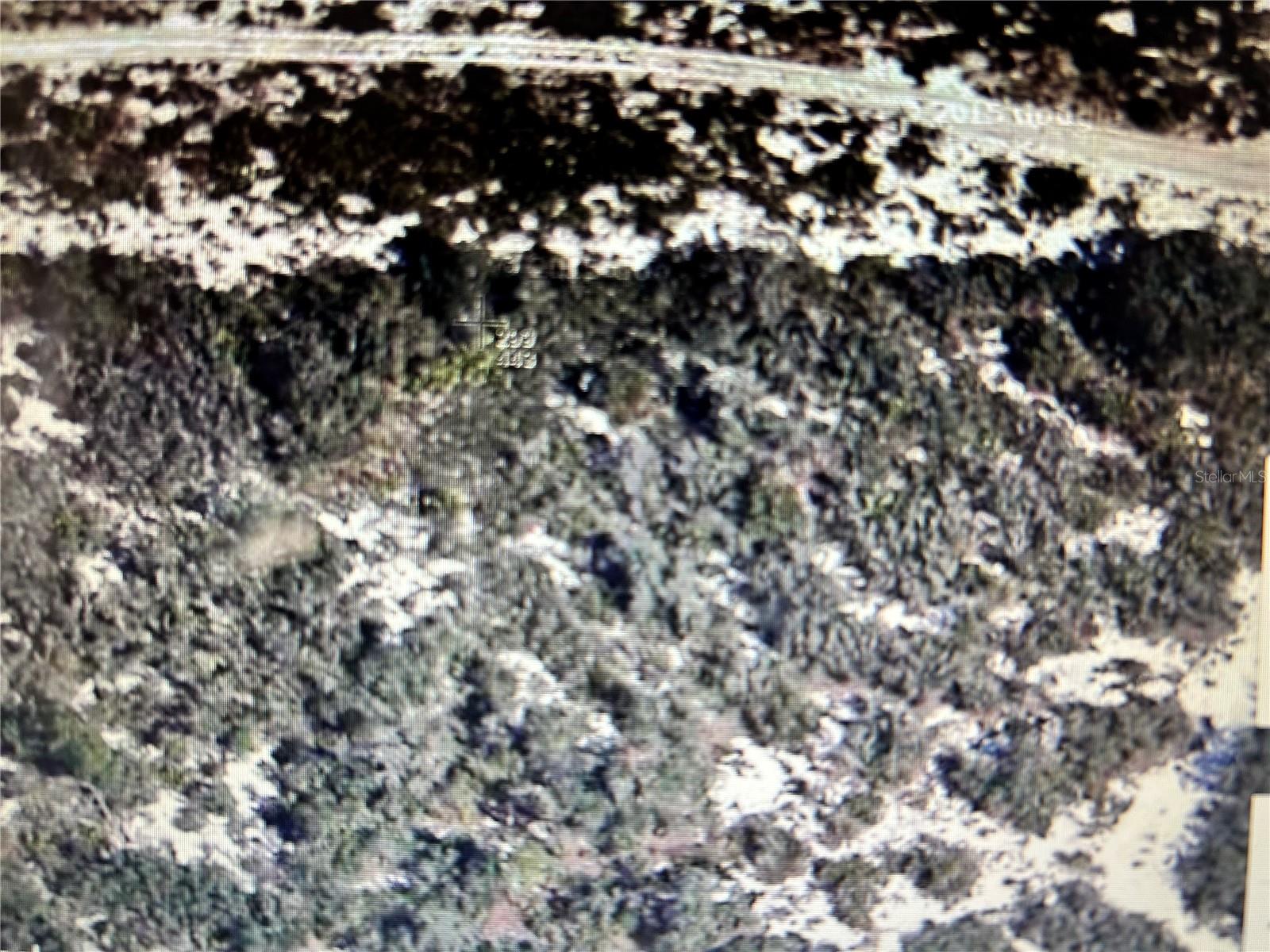 AVON PARK ESTATE - Land