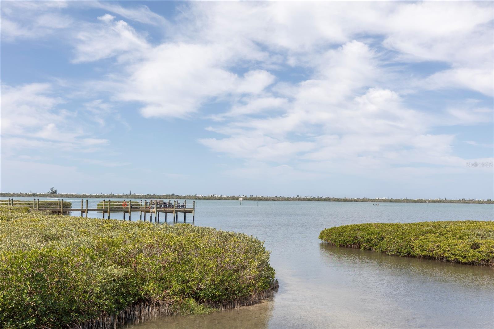 GRANDE PRESERVE ON LEMON BAY P - Residential