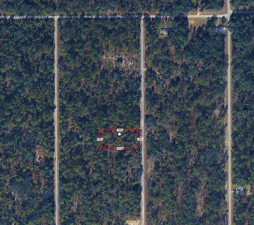 Build your dream home on this 1-acre lot in Rainbow Lakes Estates with no HOA and no deed restrictions. Enjoy access to three lakes and two parks, perfect for outdoor living. Just minutes from Dunnellon, the Rainbow River, and the Withlacoochee River — offering the ideal mix of privacy, nature, and convenience.