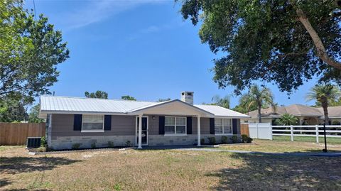 11624 OCKLAWAHA DRIVE LEESBURG FL 34788
