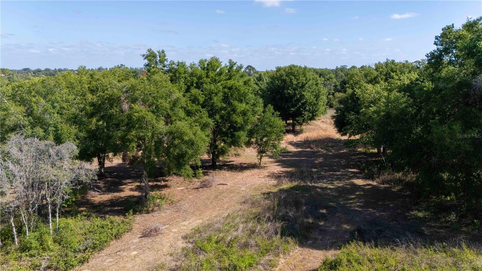 ETHERIDGE ACRES - Land