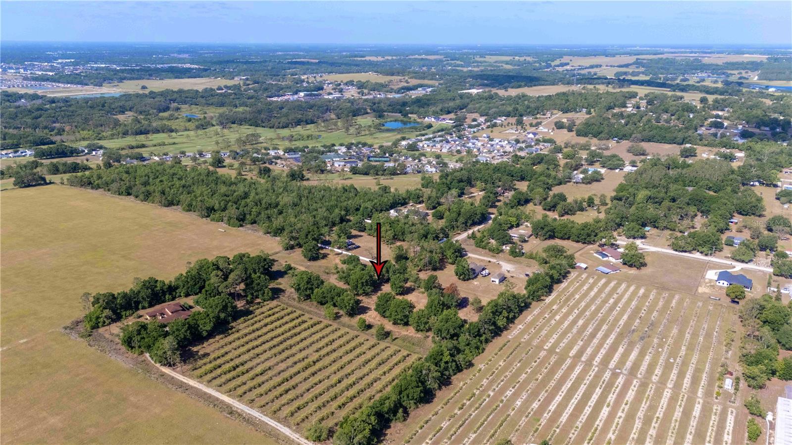 ETHERIDGE ACRES - Land