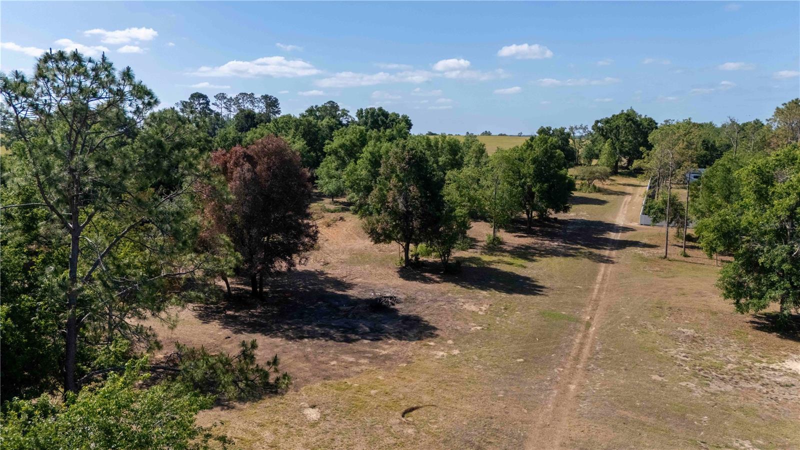 ETHERIDGE ACRES - Land