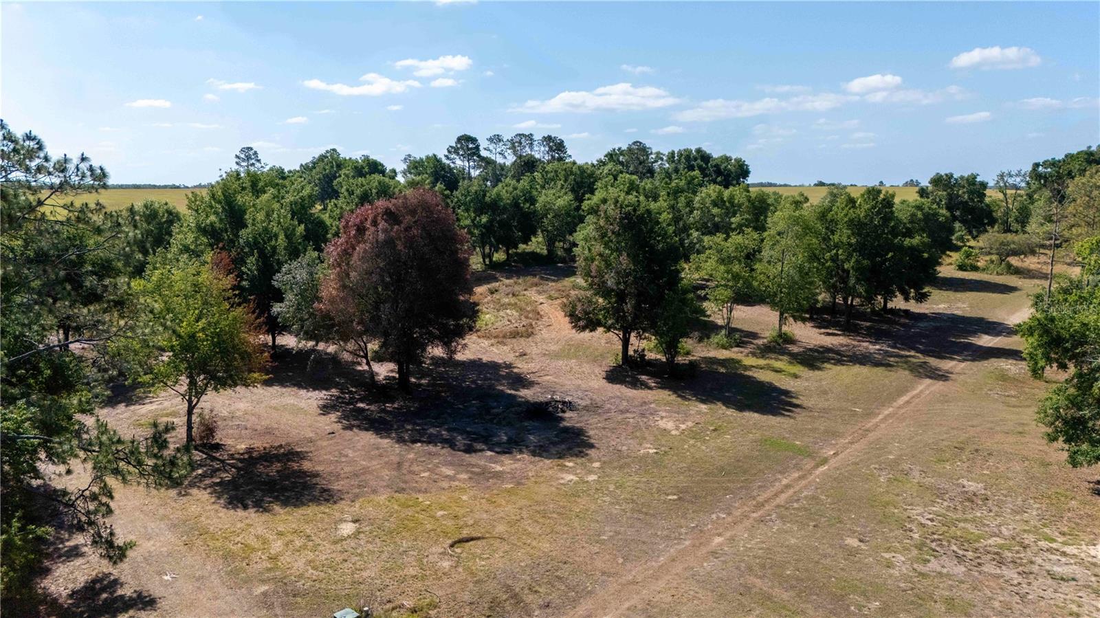 ETHERIDGE ACRES - Land