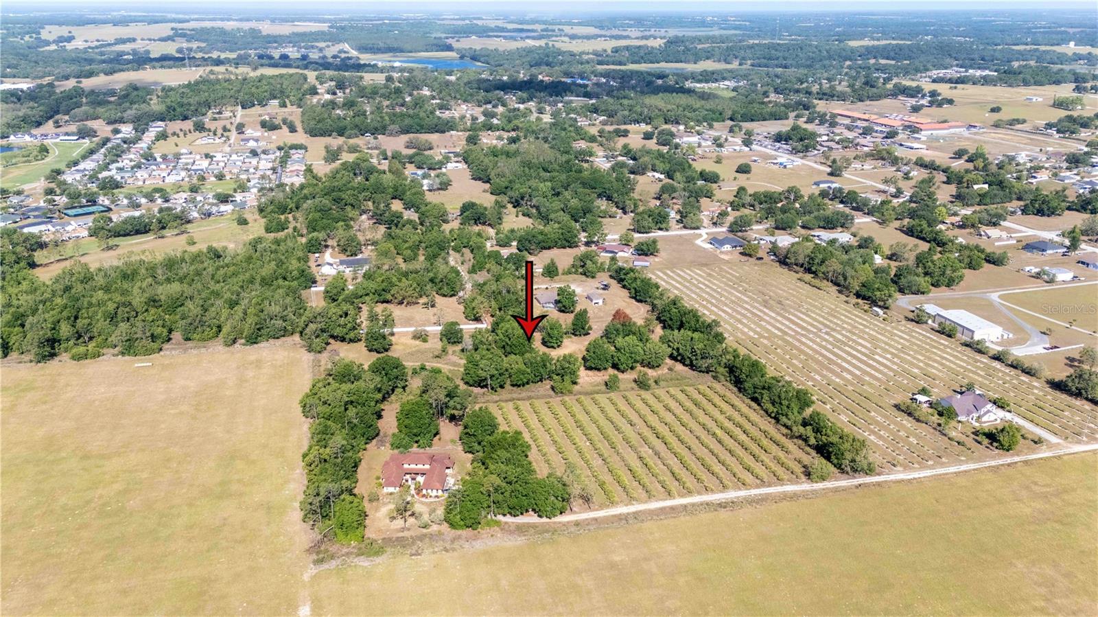 ETHERIDGE ACRES - Land