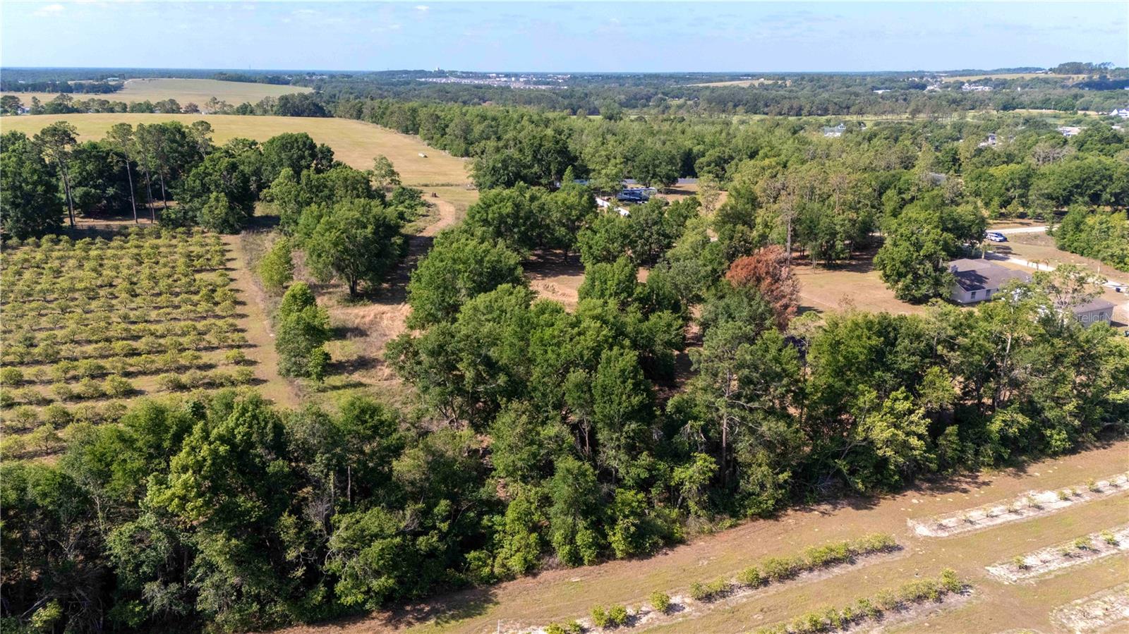 ETHERIDGE ACRES - Land