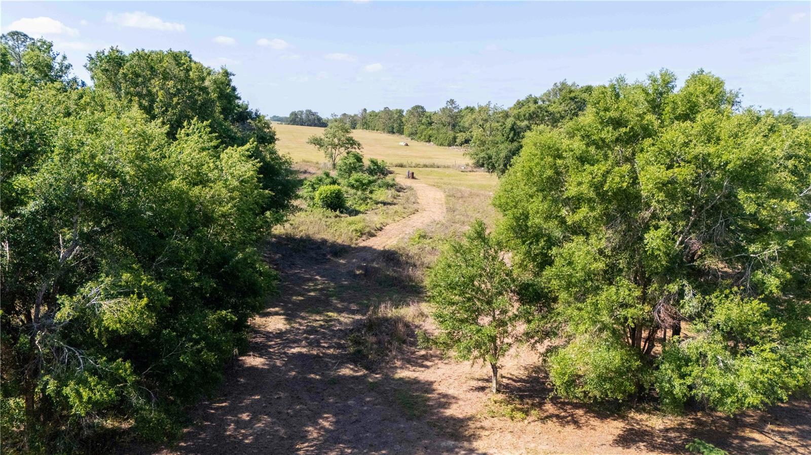 ETHERIDGE ACRES - Land