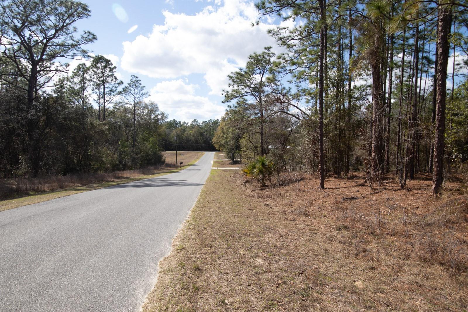 ROLLING HILLS 04 - Land