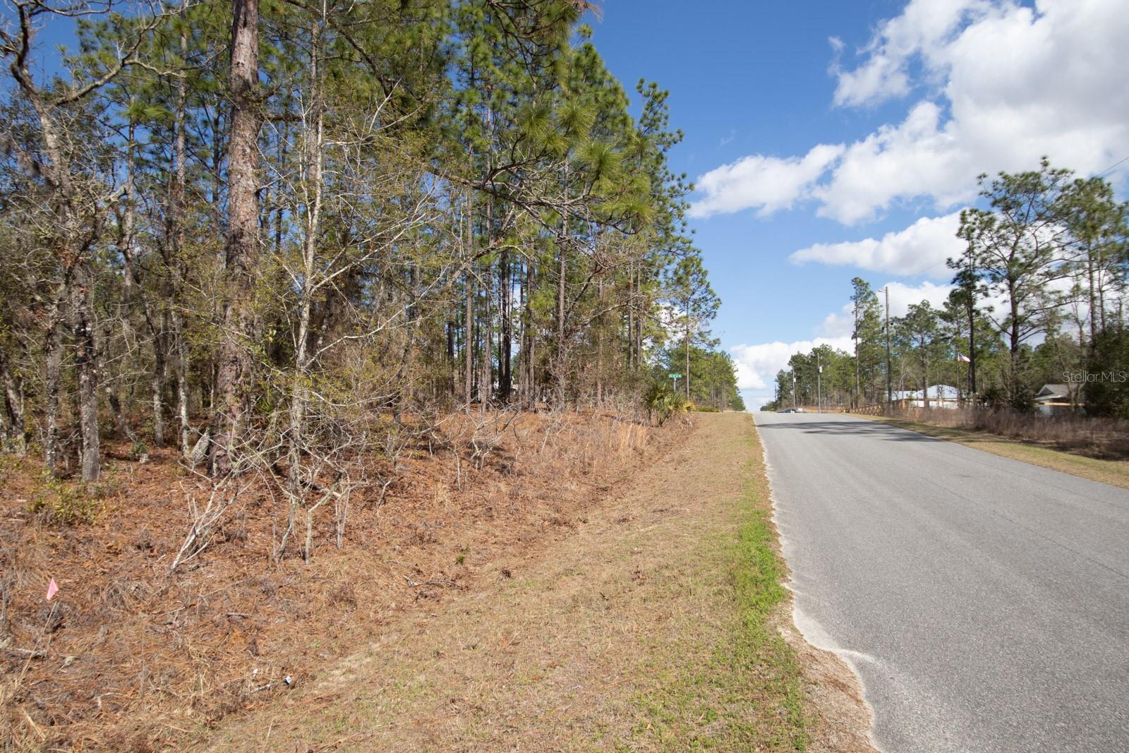 ROLLING HILLS 04 - Land