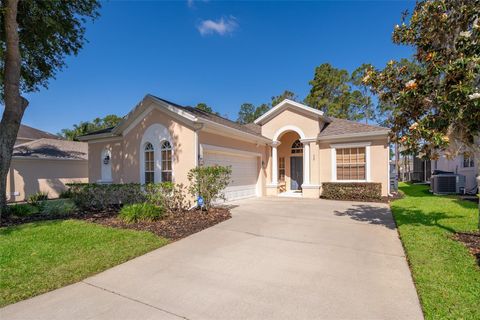 428 ORISTA DRIVE DAVENPORT FL 33897