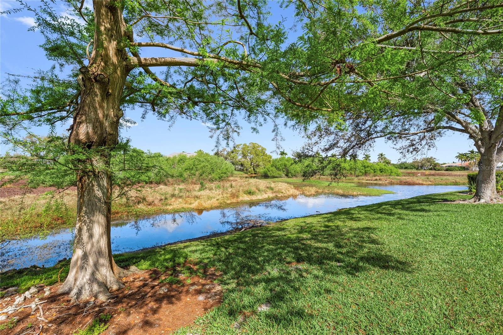 THE HAMPTONS - Residential