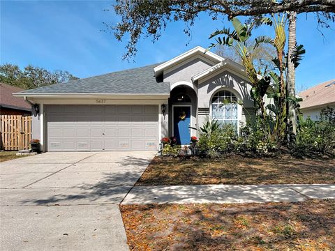 5637 PADDOCK TRAIL DRIVE TAMPA FL 33624