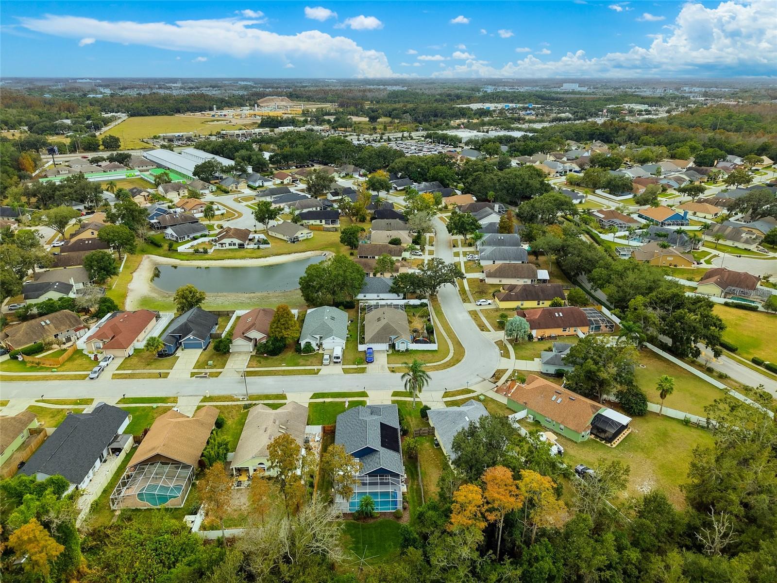 VILLAGES AT WESLEY CHAPEL - Residential