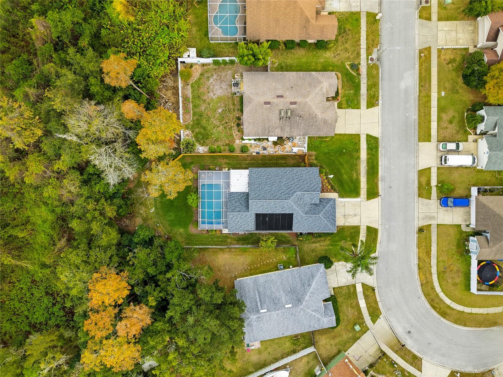 VILLAGES AT WESLEY CHAPEL - Residential