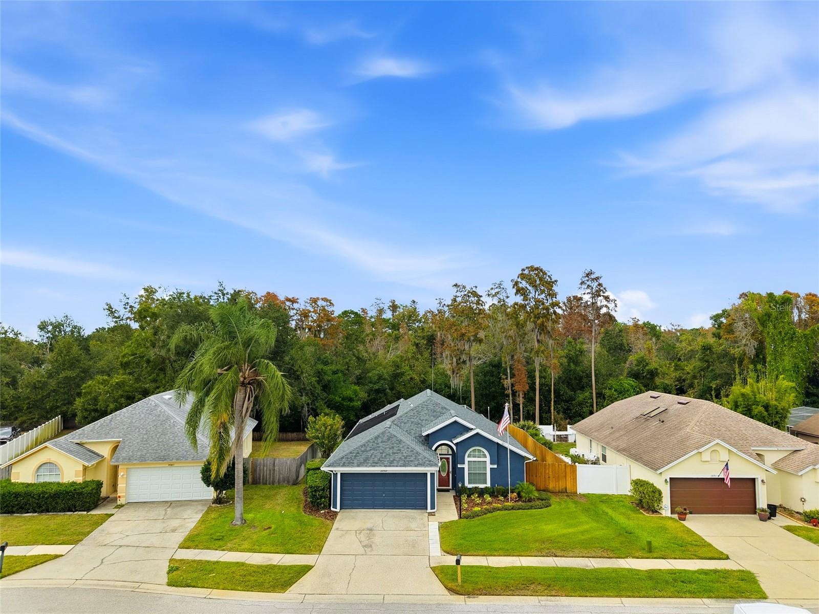 VILLAGES AT WESLEY CHAPEL - Residential