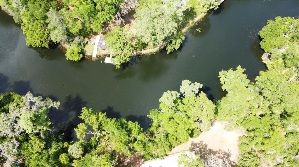 Photo of 12022 Riverhills Drive, Tampa, FL 33617 (MLS # TB8492384)