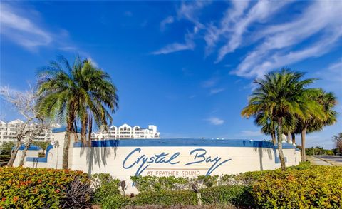 2323 FEATHER SOUND DRIVE F101 CLEARWATER FL 33762