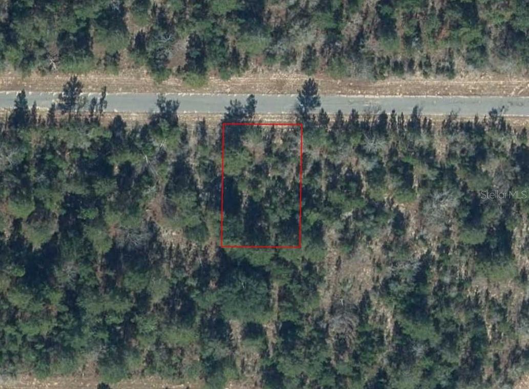 Nestled in the serene community of Sunny Hills, this residential lot presents an excellent opportunity to build your dream home in a peaceful, natural setting. Enjoy convenient access to scenic lakes, nature trails, and the public 18-hole golf course, all just moments away. Situated on a quiet paved road in a growing area, this property is ideal for a future homesite or a smart investment. Sunny Hills offers a variety of outdoor activities, including boating, tubing, fishing, and walking, with the added benefit of being a short drive to Panama City, Northwest Florida Beaches International Airport, and some of the world’s most beautiful beaches and breathtaking sunsets.