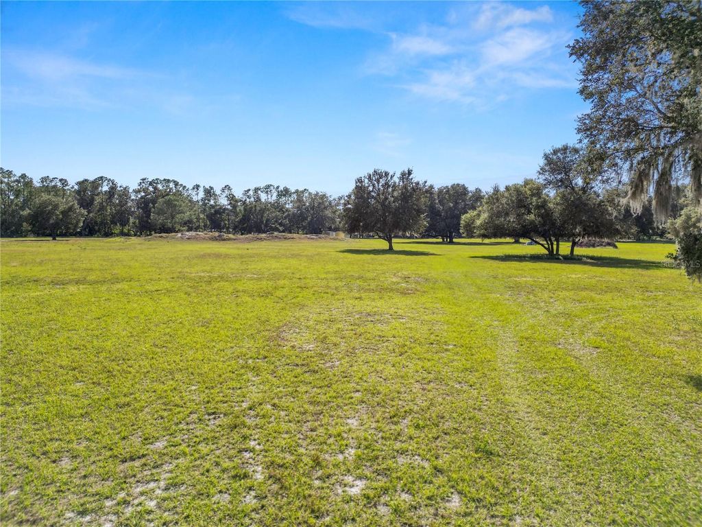 Photo of 1828 Gator Creek Ranch Road, Lakeland, FL 33809 (MLS # L4957285)