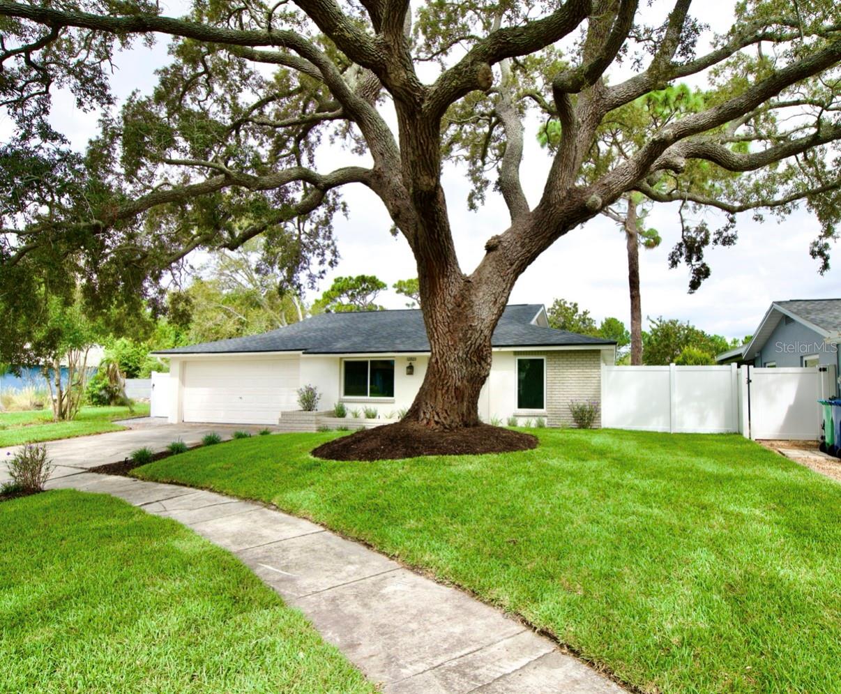 ORANGEWOOD HIGHLANDS 1ST ADD - Residential