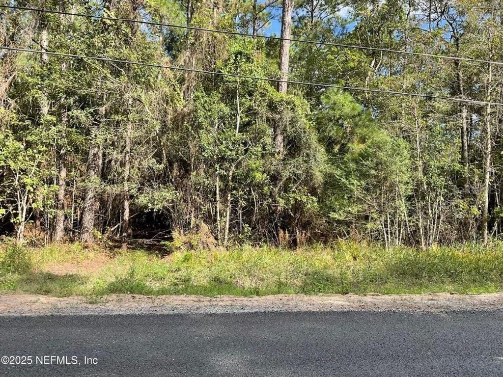 Photo of 3089 Veronica Avenue, Middleburg, FL 32068 (MLS # GC534821)