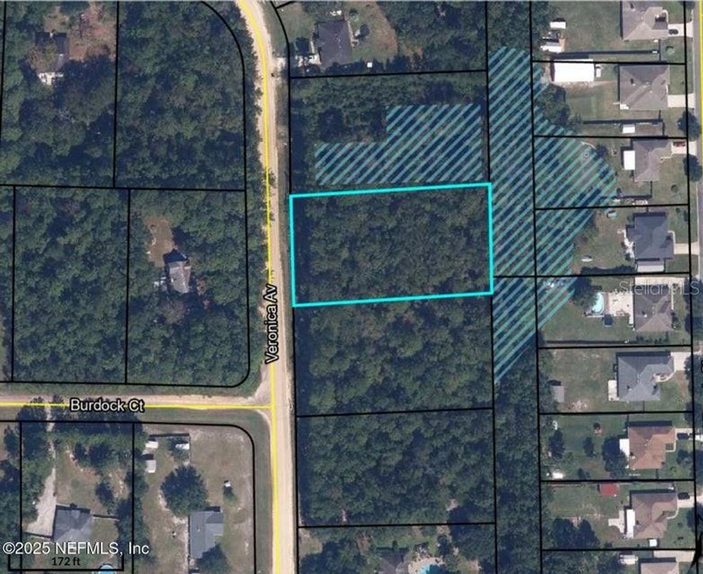 Photo of 3089 Veronica Avenue, Middleburg, FL 32068 (MLS # GC534821)