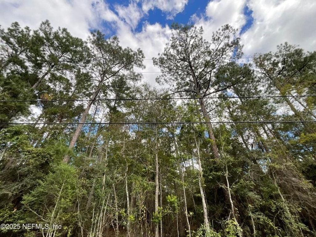 Photo of 3089 Veronica Avenue, Middleburg, FL 32068 (MLS # GC534821)