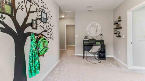 A home in WIMAUMA