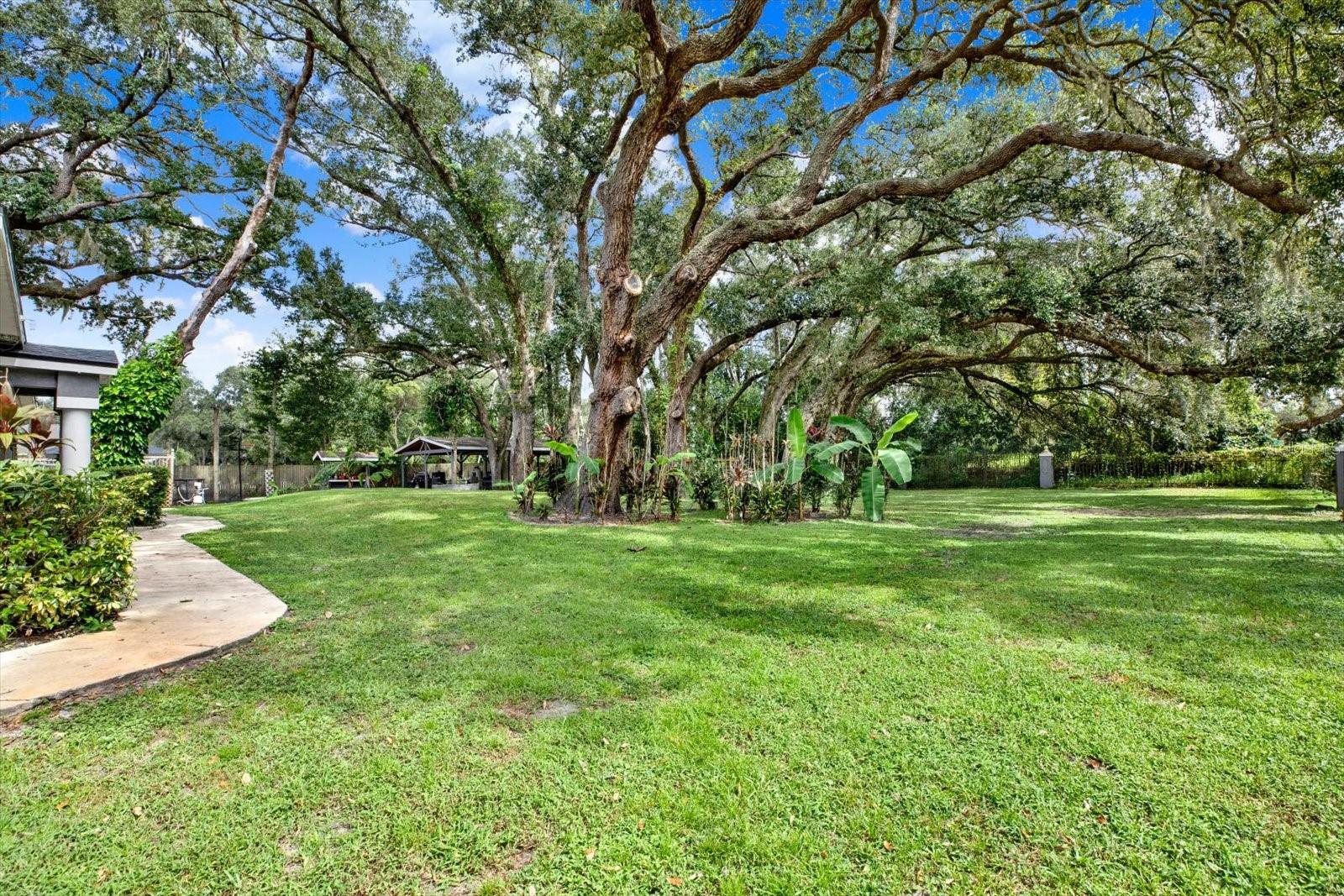 2416 BURLWOOD DRIVE