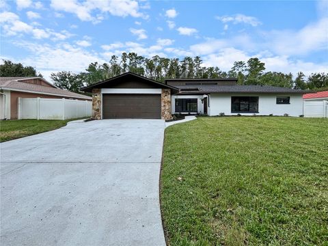 Photo of 4545 Debbie Lane, Lutz, FL 33559 (MLS # TB8412583)