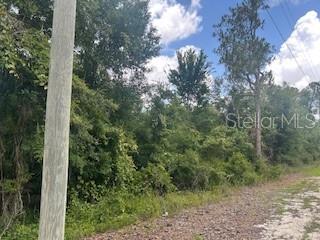 RIDGE MANOR ESTATE - Land